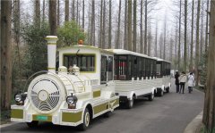 無(wú)軌小火車多少錢一輛？掙錢嗎？