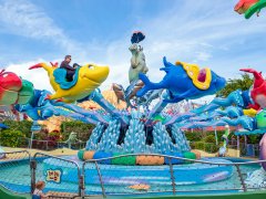 轉馬的異響使客人滿意度不高，如何化解