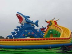 水上娛樂設備是否真正值得挑選？